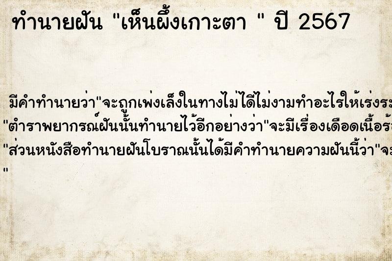 ทำนายฝันทำนายฝันเห็นผึ้งเกาะตา